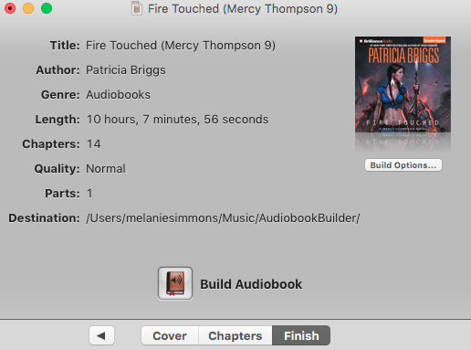 Audiobook Builder Finish Tab