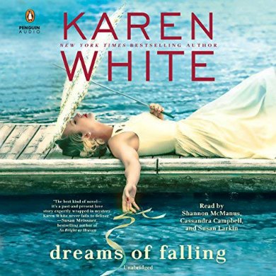 Dreams of Falling Audiobook